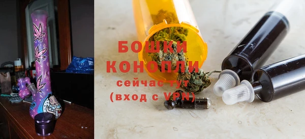 PSILOCYBIN Горно-Алтайск