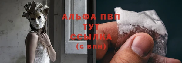 хмурый Гусев