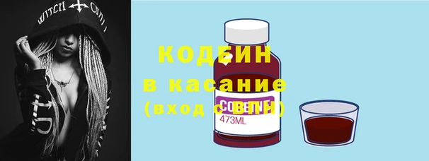 шишки Горнозаводск