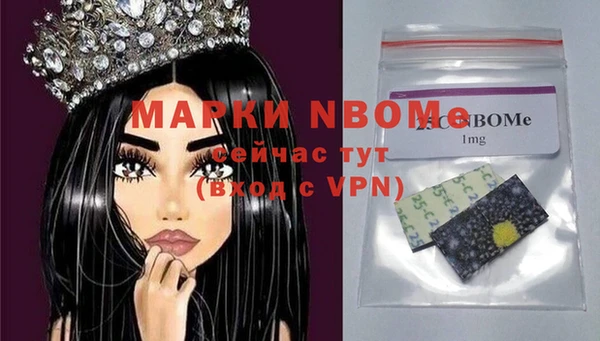 шишки Горнозаводск