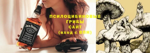 МДПВ Гусь-Хрустальный