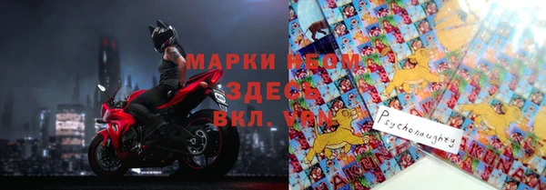 хмурый Гусев