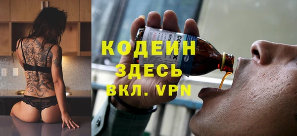 шишки Горнозаводск