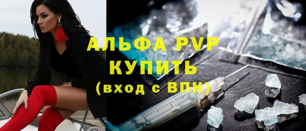 PSILOCYBIN Горно-Алтайск
