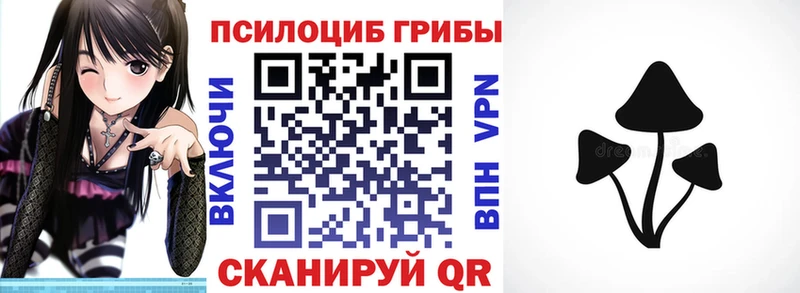 Псилоцибиновые грибы Cubensis  Купить где  Холм 
